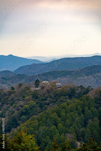 Fototapeta 備中松山城の風景