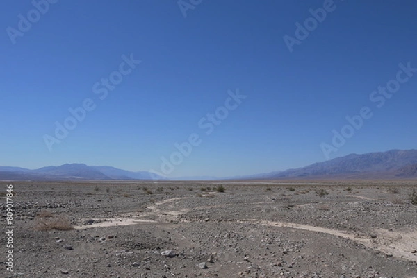 Fototapeta landscape in park