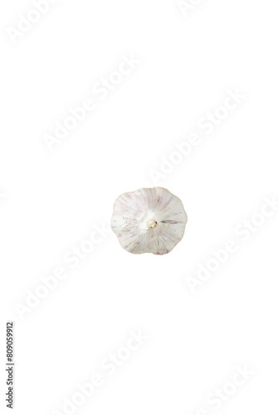 Fototapeta garlic isolated with white transparent background.