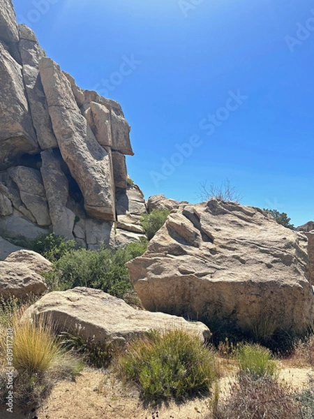 Fototapeta Landscape at Joshua Tree National Park