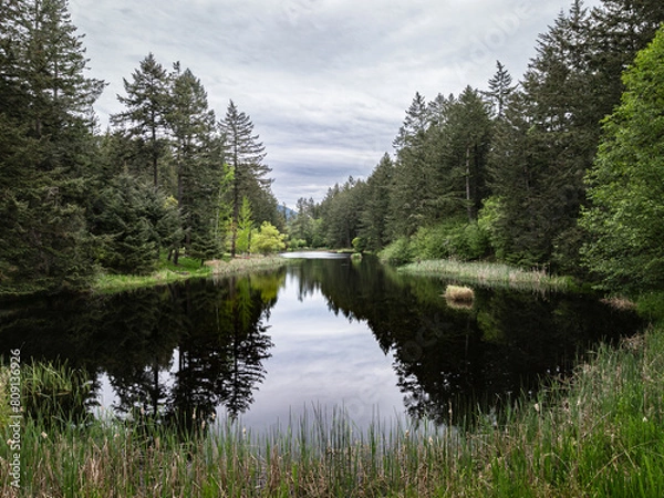 Obraz Lake reflection with green trees