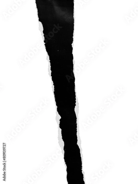 Fototapeta Papel rasgado transparente. Detalhe elemento gráfico. rasgar, com fundo transparente. Estilo retrô, vintage, antigo. Desgin. preto e branco. Sombra suave.