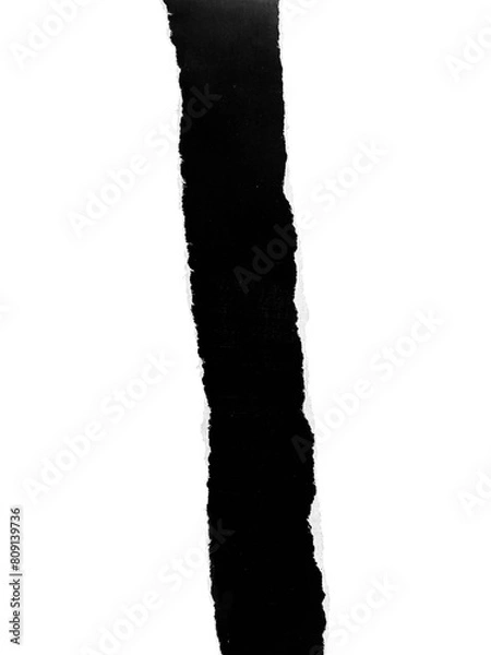 Fototapeta Papel rasgado transparente. Detalhe elemento gráfico. rasgar, com fundo transparente. Estilo retrô, vintage, antigo. Desgin. preto e branco. Sombra suave.