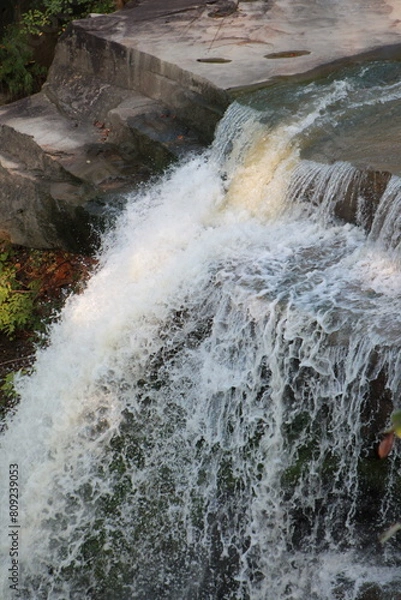 Fototapeta waterfall in the forest