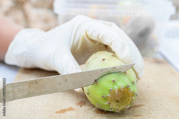 Obraz Peeling prickly pear fruit