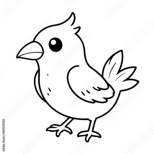 Fototapeta Simple vector illustration of ExoticBird drawing for toddlers colouring page
