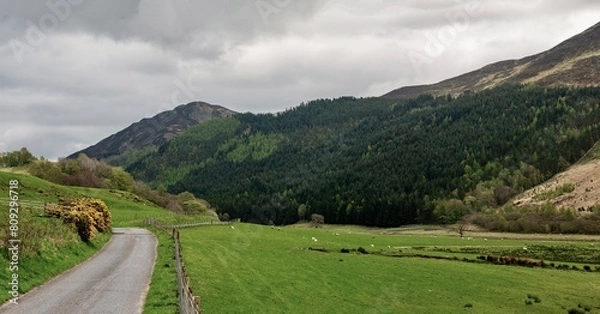 Obraz landscape in the mountains