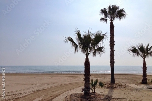 Obraz palms at the beach
