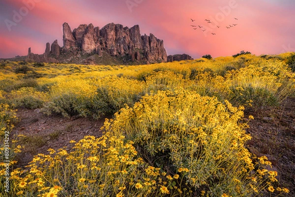 Fototapeta Superstition Mountain Spring