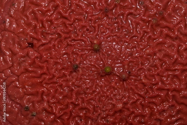 Obraz Red alien mass with veins texture