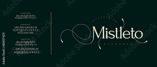 Fototapeta Misleto elegant font alphabet uppercase lowercase and number. Classic lettering minimal fashion designs. Typography modern serif fonts regular decorative vintage concept. Vector illustration