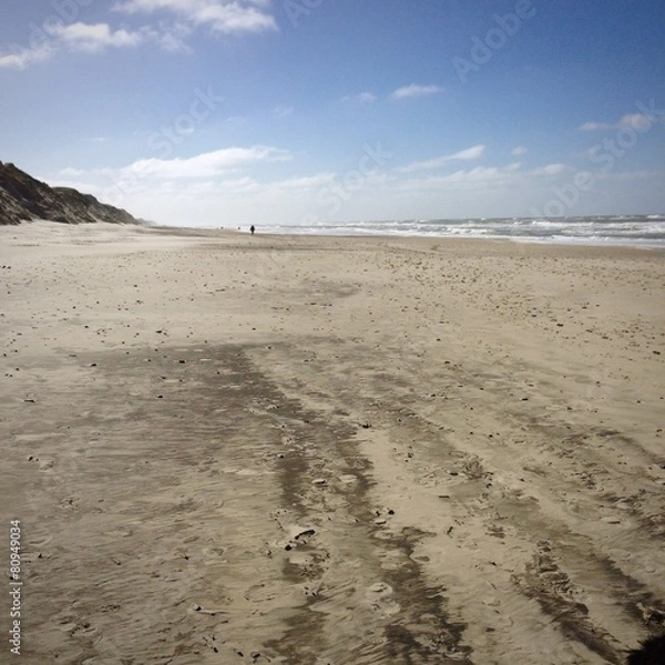 Obraz Ringkøbing Fjord 