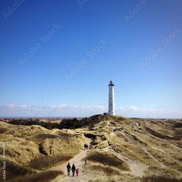Obraz Ringkøbing Fjord 
