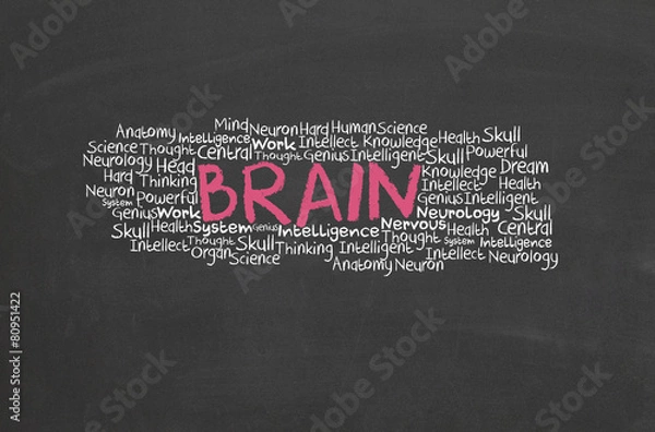Fototapeta Brain with overlay text design