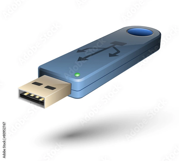 Obraz Vector USB Flash drive