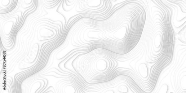 Fototapeta Abstract white paper cut background with line. 3d topography relief. Vector topographic illustration. realistic papercut decoration textured with wavy layer and shadow. seamless pattern wave design.