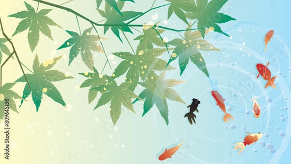 Fototapeta 夏の涼しい和風素材
