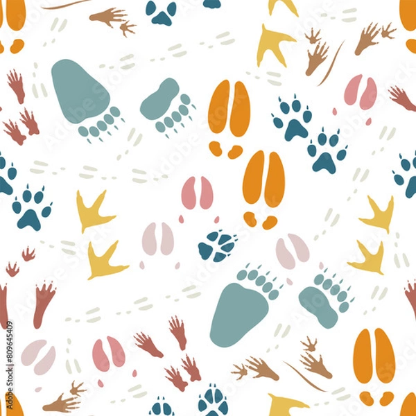 Obraz Pattern Wild Animals Paw Tracks Footprints Traces