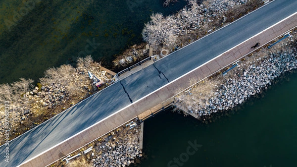 Obraz Spring scenery of Jingyuetan National Forest Park in Changchun, China