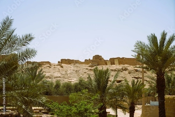 Obraz palm trees in the desert
