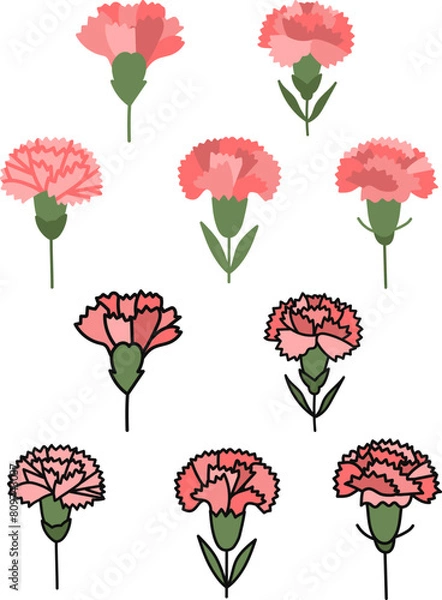 Fototapeta 카네이션