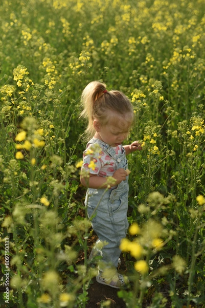 Obraz A little girl of two years old is walking in a field. A child walks in a rapeseed field. Blonde little girl of two years old