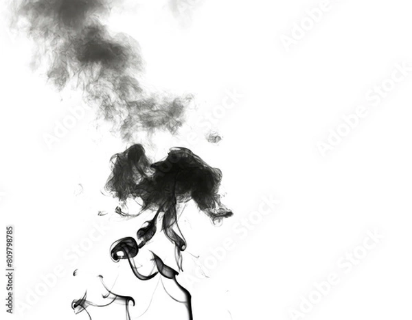 Obraz Wispy white smoke against a dark background