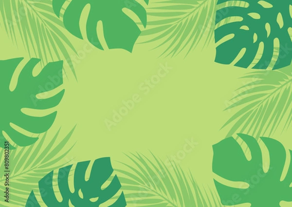 Fototapeta モンステラのフレーム01