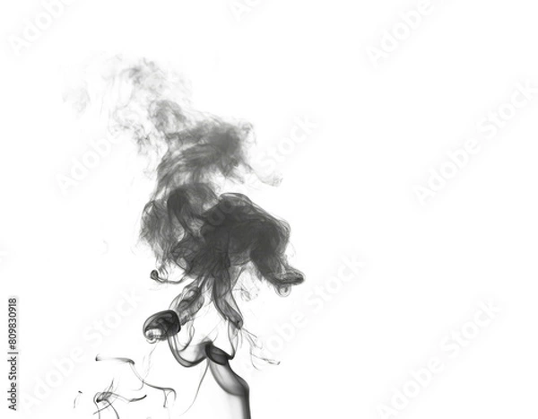 Obraz Wispy white smoke against a dark background