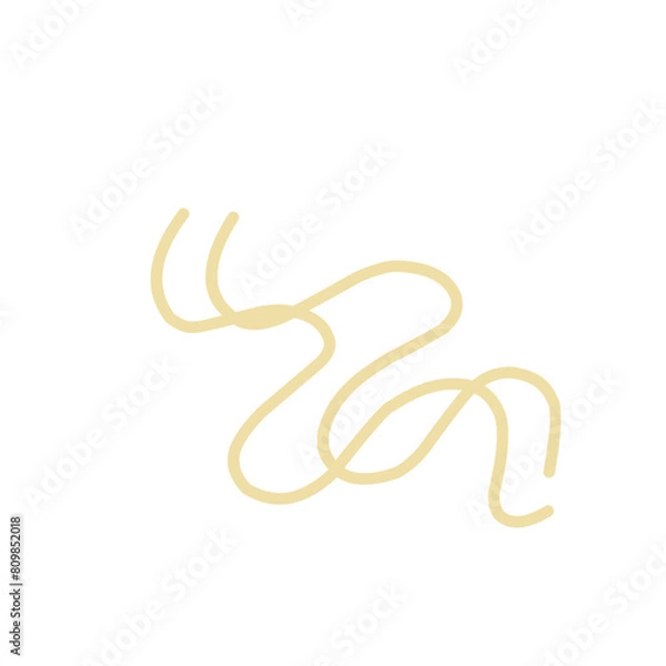 Fototapeta Noodle Pieces 