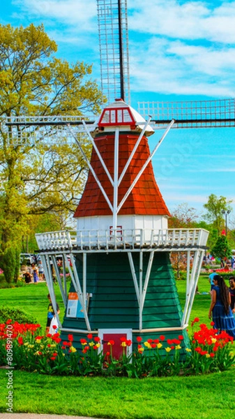 Obraz dutch windmill in spring
