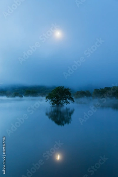 Fototapeta 早朝の山形白川湖の水没林