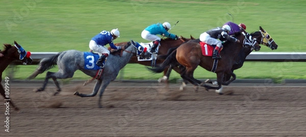 Obraz konie wyścigowe