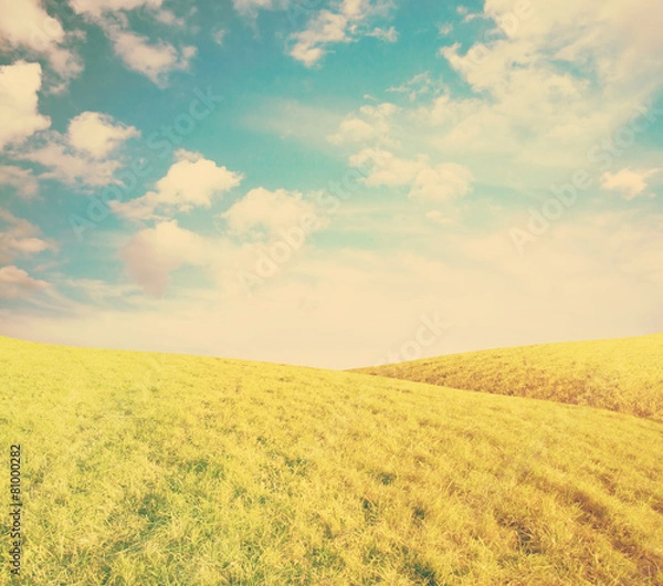 Obraz beautiful fields, instagram retro style