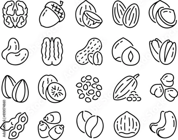 Fototapeta Pixel perfect icon set of nuts, peanuts, hazelnuts, walnuts, cashews, pistachios, almond, food. Thin line icons flat vector illustrations isolated on white and transparent background