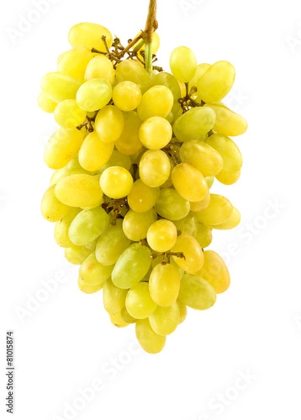Obraz Isolated image of grapes on a white background