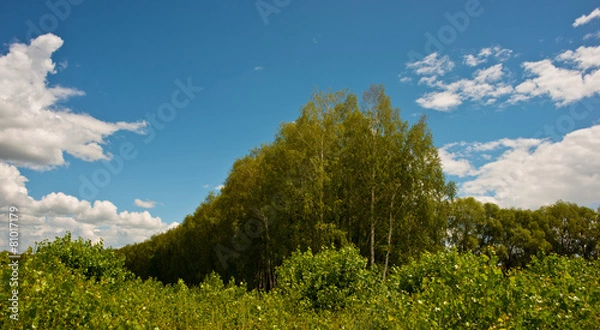 Obraz rural landscape
