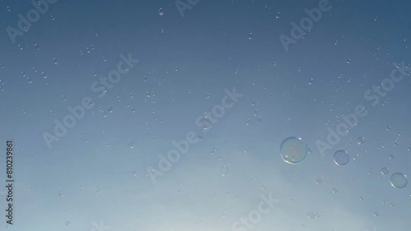 Fototapeta Bubbles floating in the clear blue sky 