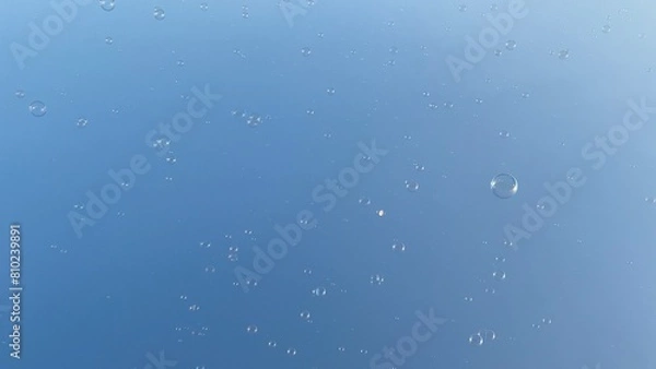 Obraz Bubbles floating in the clear blue sky 