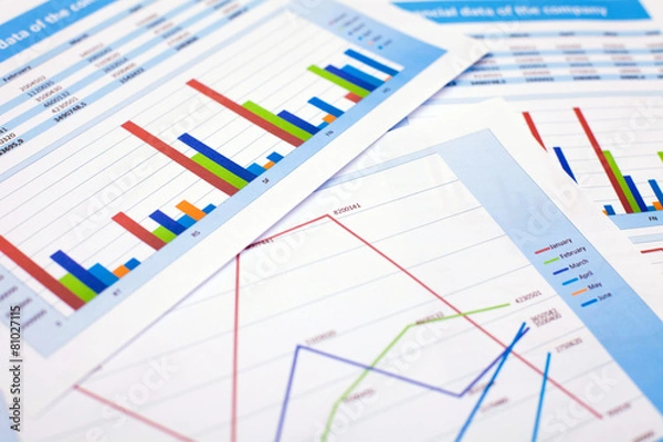 Obraz Business document. Finance data