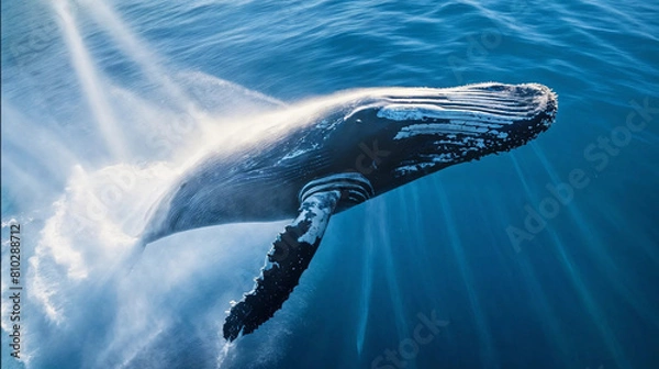 Fototapeta Whale in the ocean Generative Ai