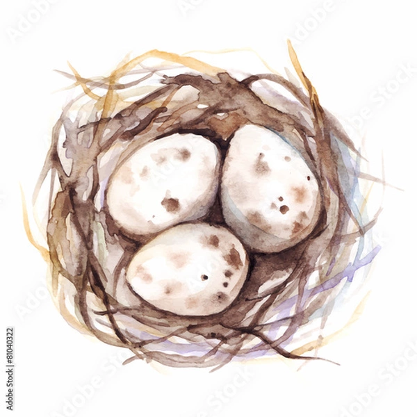 Obraz The nest with quail eggs