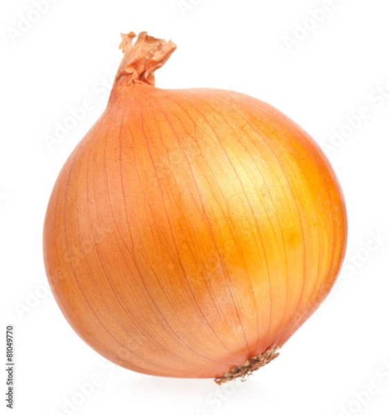 Obraz Żółta cebula