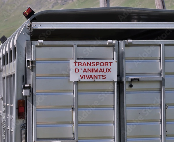 Obraz bétaillère sur la route