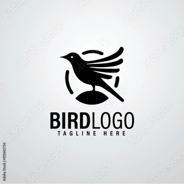 Obraz Bird logo designs 