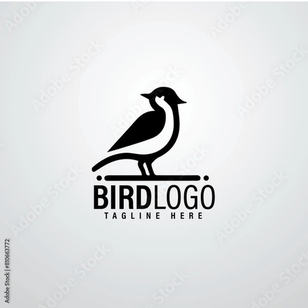 Obraz Bird logo designs 