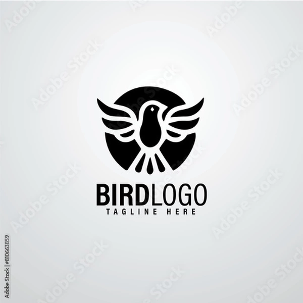 Obraz Bird logo designs 