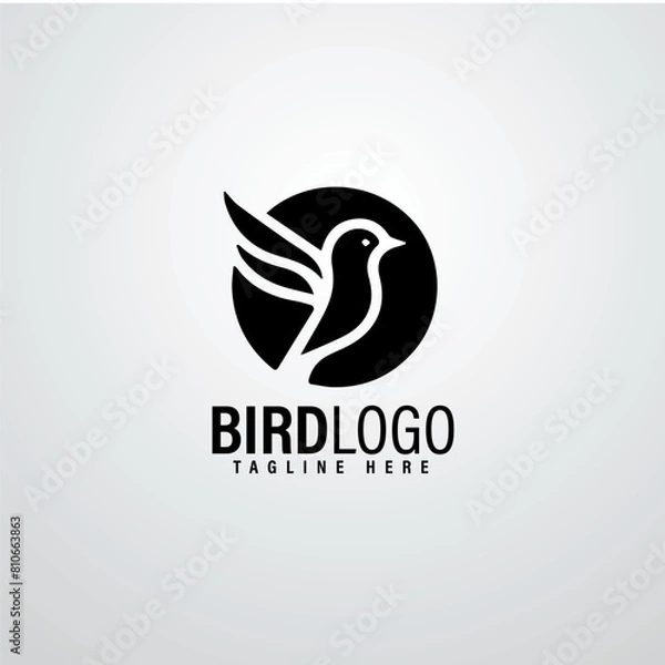 Obraz Bird logo designs 