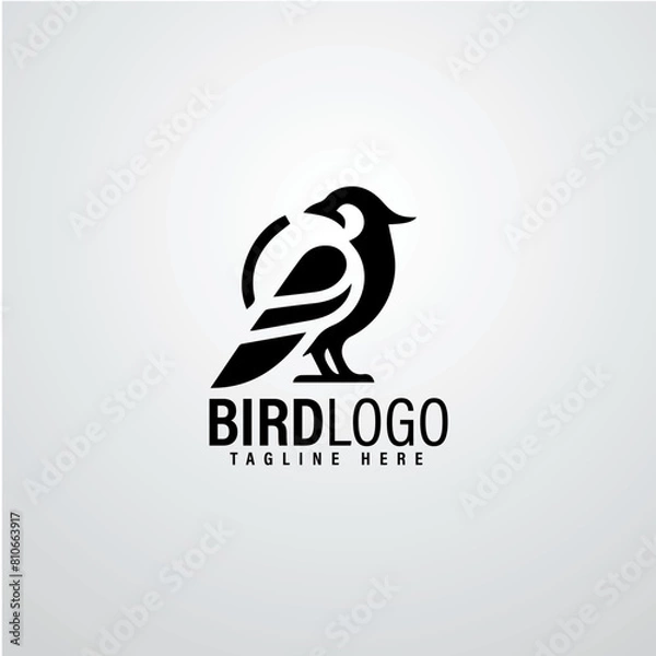 Obraz Bird logo designs 
