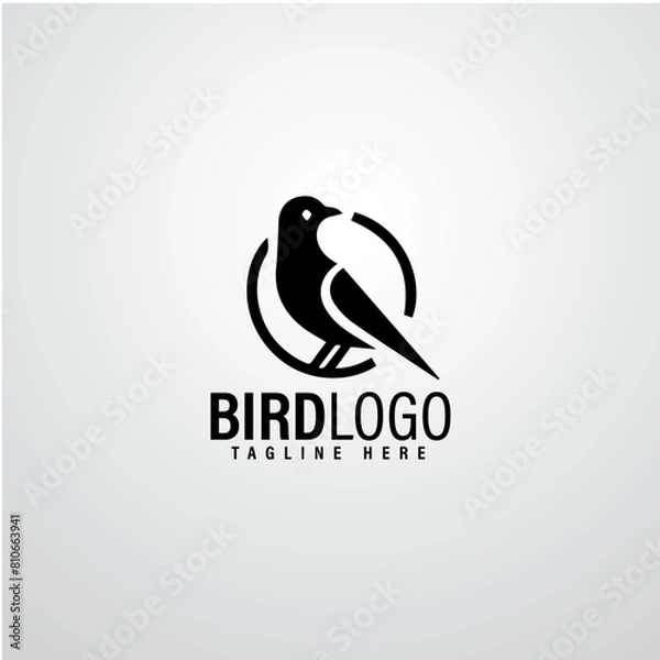 Obraz Bird logo designs 